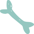 shape